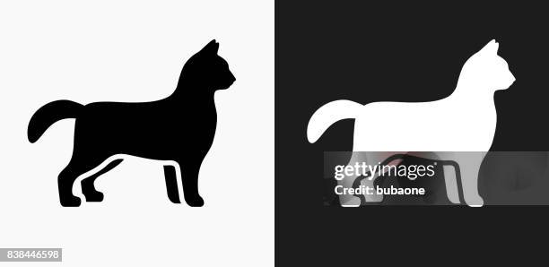 cat icon on black and white vector backgrounds - multiple cats stock illustrations