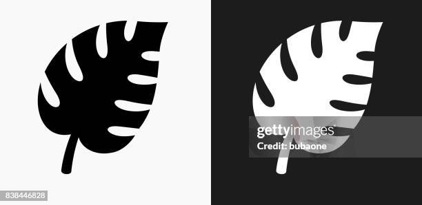 plant leave icon on black and white vector backgrounds - tropical-leaves-outline stock illustrations