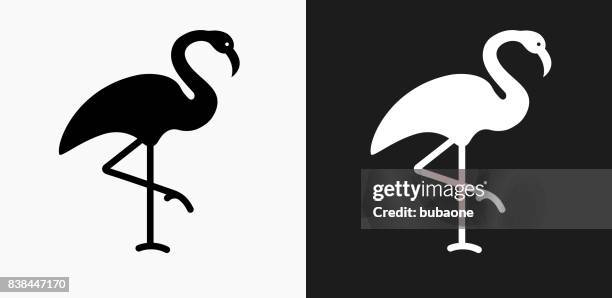 flamingo icon on black and white vector backgrounds - flamingo stock illustrations