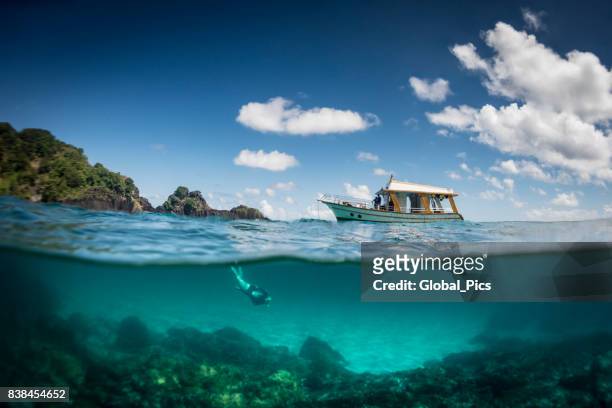 ocean realm - snorkel reef stock pictures, royalty-free photos & images