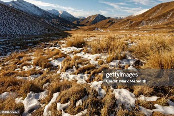 Tussock Rocks Tussock Photos and Premium High Res Pictures - Getty Images
