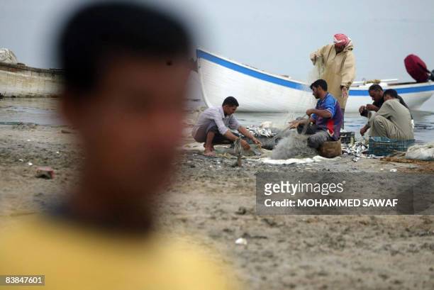 Iraqi fishermen empty their nets on the shores of the manmade Lake Razzaza west of the Shiite Muslim holy city of Karbala, around 120 kilometres...