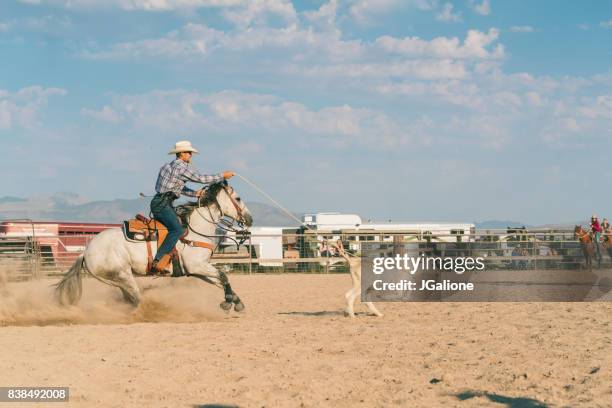 152 Lassoes A Spectator Stock Photos, High-Res Pictures, and Images ...