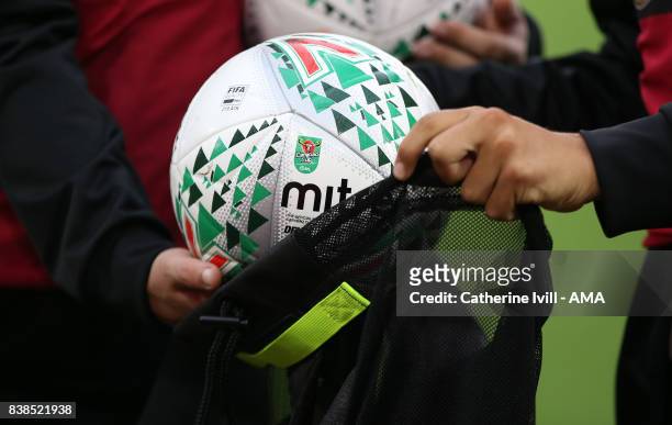Carabao cup Mitre match ball during the Carabao Cup Second Round match between Southampton and Wolverhampton Wanderers at St Mary's Stadium on August...