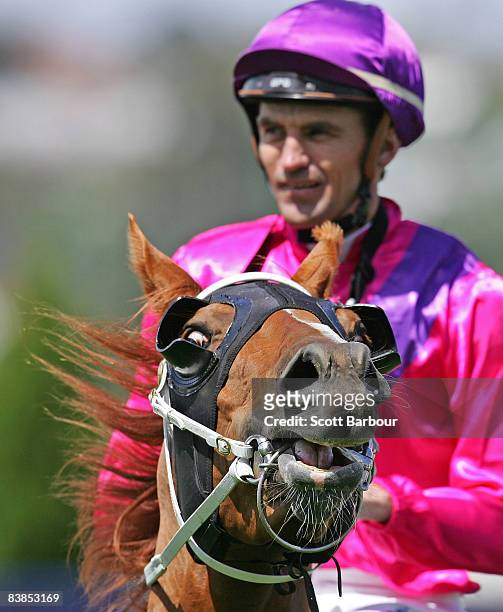 Jockey Dwayne Dunn and Arclace return to the parade ring after winning race 4 Pages Event Equipment Handicap during the Moonee Valley Racing Club...