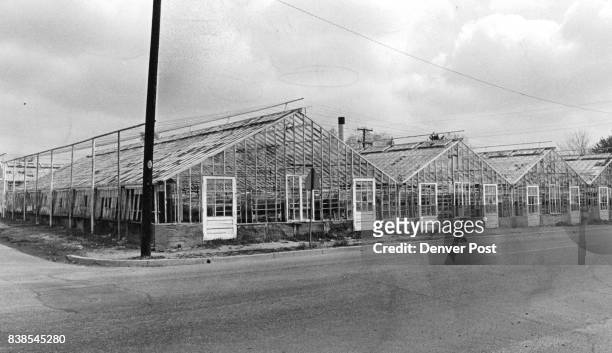 The Bandimere Brothers' Greenhouse Complex At West 32nd Avenue And Benton Street When they bought the complex a couple of years ago as an investment,...
