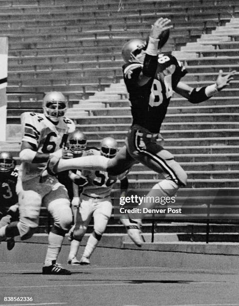 One-Handed Catch Gives Varsity a First Down Tight end Bob Niziolek reaches out to pull in a Jeff Knapple pass for 21 yards in the second period of...