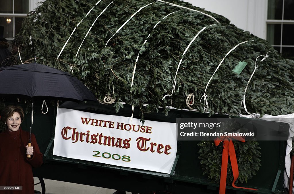 First Lady Tree First Lady Laura Bush speaks in front of a twenty foot tall Fraser ...