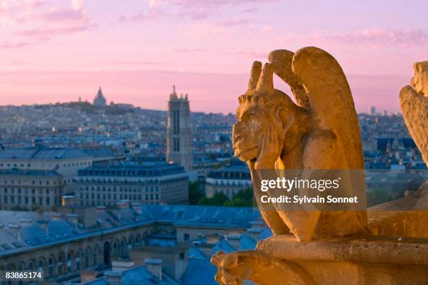 france, paris, view of notre dame cathedral - statue paris photos et images de collection