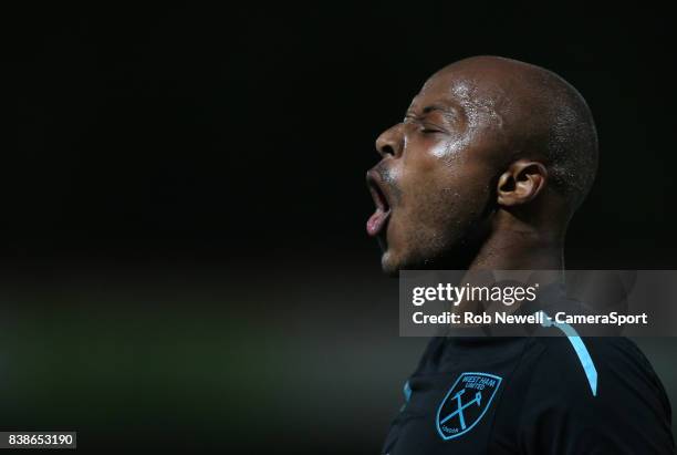 West Ham United's Andre Ayew during the Carabao Cup Second Round match between Cheltenham Town and West Ham United at Whaddon Road on August 23, 2017...