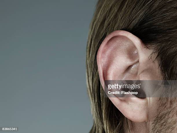 close-up of ear - ear stock pictures, royalty-free photos & images