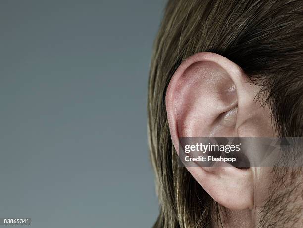 close-up of ear - människoöra bildbanksfoton och bilder