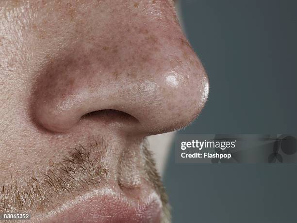 close-up of nose - human nose stockfoto's en -beelden