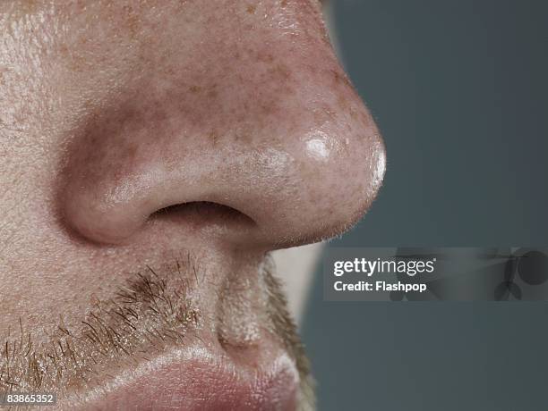 close-up of nose - human nose stock pictures, royalty-free photos & images