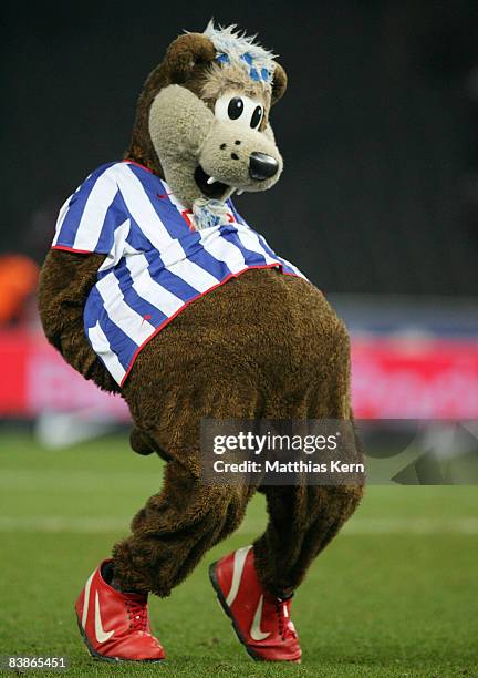 Herthinho of Berlin is seen after the Bundesliga match between Hertha BSC Berlin and 1.FC Koeln at the Olympic stadium on November 28, 2008 in...