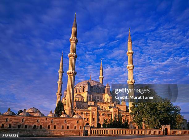 edirne, turkey - selimiye mosque stock pictures, royalty-free photos & images