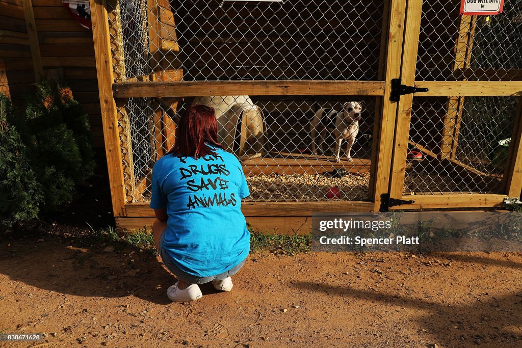 Dog Rescue Center Aims To Help Addicts, In Addiction To Canines