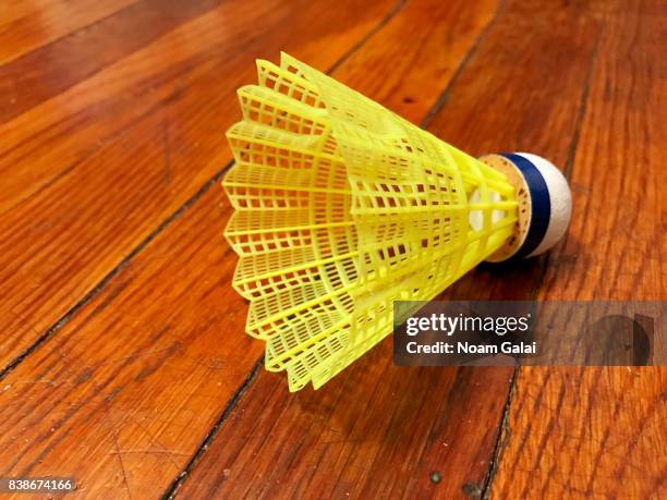 View of badminton shuttlecocks at the 2017 Lotte New York Palace Invitational at Lotte New York Palace on August 24, 2017 in New York City.