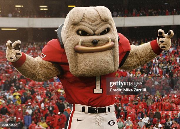 Georgia Bulldogs mascot Hairy Dawg poses before the game against the Georgia Tech Yellow Jackets at Sanford Stadium on November 29, 2008 in Athens,...