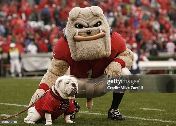 Georgia Bulldogs mascots Hairy Dawg and UGA VII pose together for photos before the game against the Georgia Tech Yellow Jackets at Sanford Stadium...