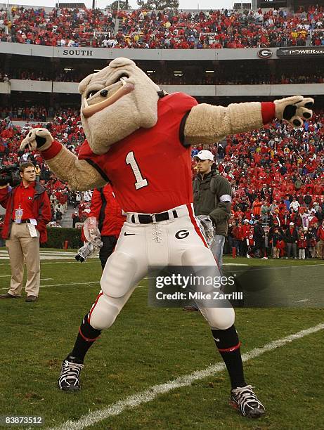 Georgia Bulldogs mascot Hairy Dawg riles up the crowd before the game against the Georgia Tech Yellow Jackets at Sanford Stadium on November 29, 2008...