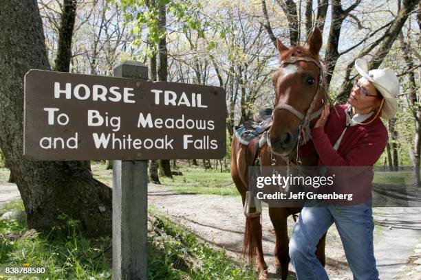 A female trail guide with a horse standing next to the horse trail..., News Photo