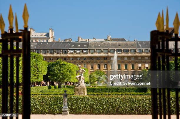 palais royal gardens, paris, france - tuileries quarter stock pictures, royalty-free photos & images