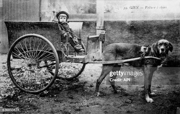 Carte postale illustrée par la photographie d'un enfant dans une voiture à chien à Gien, en France.