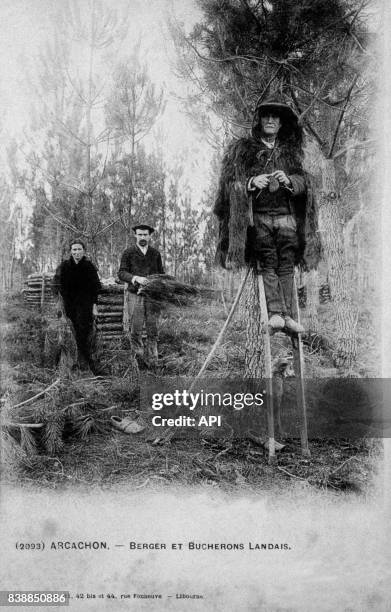 Carte postale illustrée par la photographie d'un berger landais sur ses échasses et de bûcherons en forêt à Arcachon, en France.