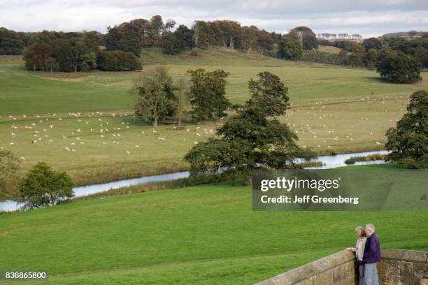 Couple looking at sheep grazing from Alnwick Castle.