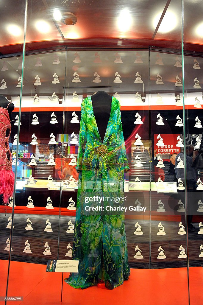 Grammy Museum Preview Day