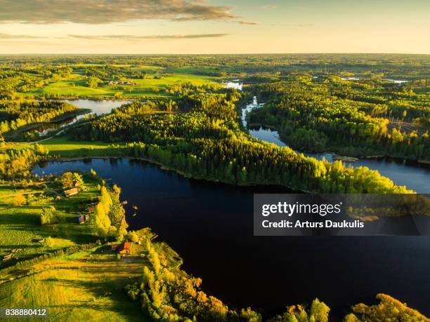 aerial view of lake stupens and green forests - latvia forest stock pictures, royalty-free photos & images