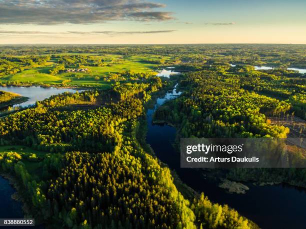 aerial view of lake stupens and green forests - latvia forest stock pictures, royalty-free photos & images