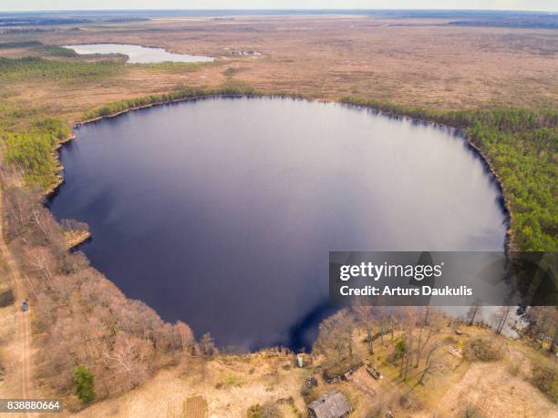 aerial view of teiči nature reserve in spring - gloomy swamp stock pictures, royalty-free photos & images