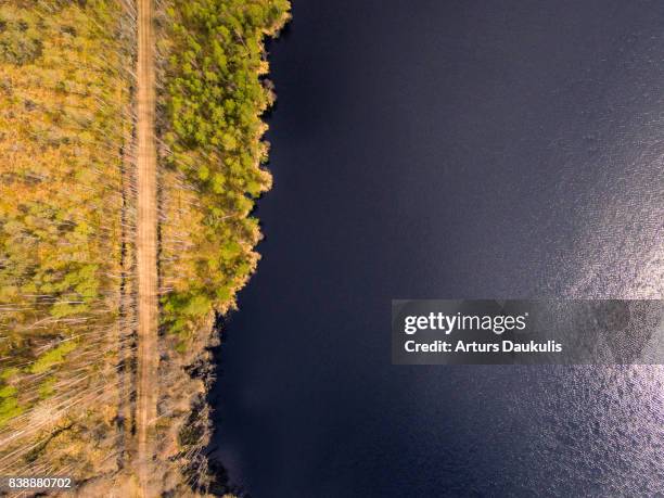 aerial view of teiči nature reserve in spring - gloomy swamp stock pictures, royalty-free photos & images