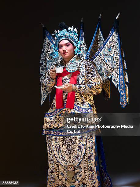 chinese opera action (zhao yun) - chinese opera makeup stock pictures, royalty-free photos & images