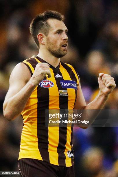 Luke Hodge of the Hawks celebrates the win on the final siren during round 23 AFL match between the Hawthorn Hawks and the Western Bulldogs at Etihad...