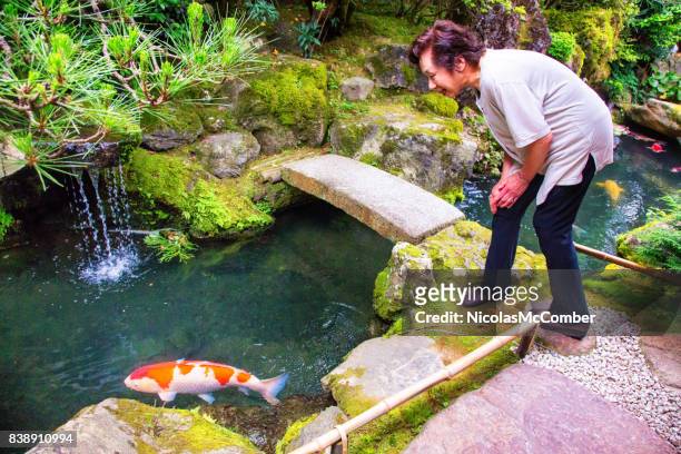 rijpe senior japanse vrouw kijken enorme koy vis in japanse tuin - oriental garden stockfoto's en -beelden