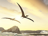 Two pteranodons flying over rocks in the sea