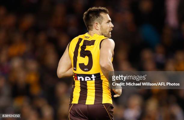 Luke Hodge of the Hawks looks on during the 2017 AFL round 23 match between the Hawthorn Hawks and the Western Bulldogs at Etihad Stadium on August...