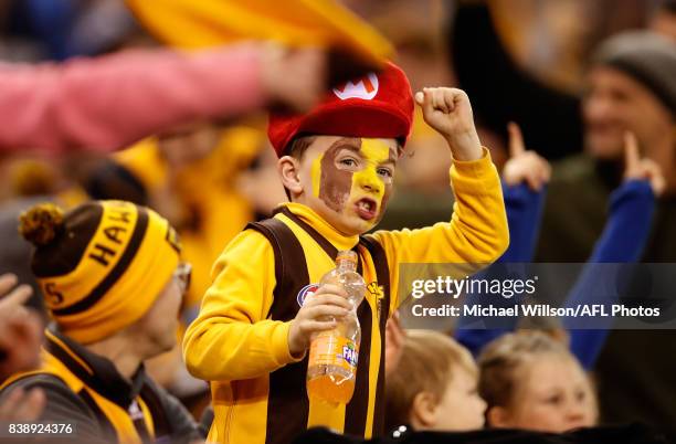 Hawks fan cheers during the 2017 AFL round 23 match between the Hawthorn Hawks and the Western Bulldogs at Etihad Stadium on August 25, 2017 in...