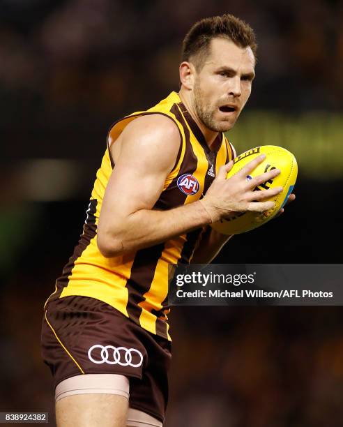 Luke Hodge of the Hawks in action during the 2017 AFL round 23 match between the Hawthorn Hawks and the Western Bulldogs at Etihad Stadium on August...