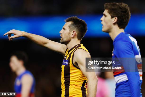 Luke Hodge of the Hawks shouts instructions to teammates during round 23 AFL match between the Hawthorn Hawks and the Western Bulldogs at Etihad...