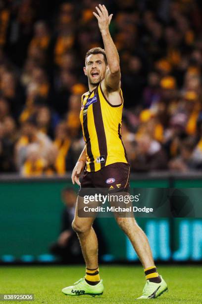 Luke Hodge of the Hawks shouts instructions to teammates during round 23 AFL match between the Hawthorn Hawks and the Western Bulldogs at Etihad...