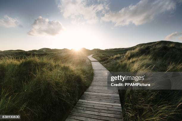 weg door de duinen - sterk perspectief stockfoto's en -beelden