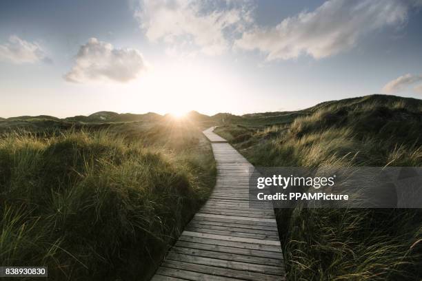 way through the dunes - região marítima do norte da alemanha imagens e fotografias de stock