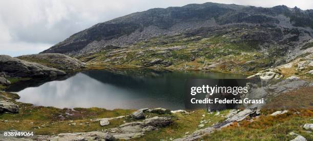 overcast sky and green lake (laghi di variola) - gloomy swamp stock pictures, royalty-free photos & images