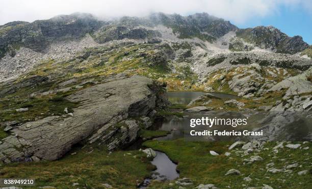 alpine wetlands at alpe variola and bocchetta del rovale mountain pass - gloomy swamp stock pictures, royalty-free photos & images
