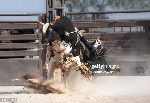 Black Bull Riders Photos and Premium High Res Pictures - Getty Images