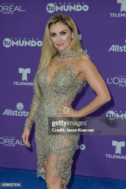 Aracely Arambula arrives at Telemundo's 2017 'Premios Tu Mundo' at American Airlines Arena on August 24, 2017 in Miami, Florida.